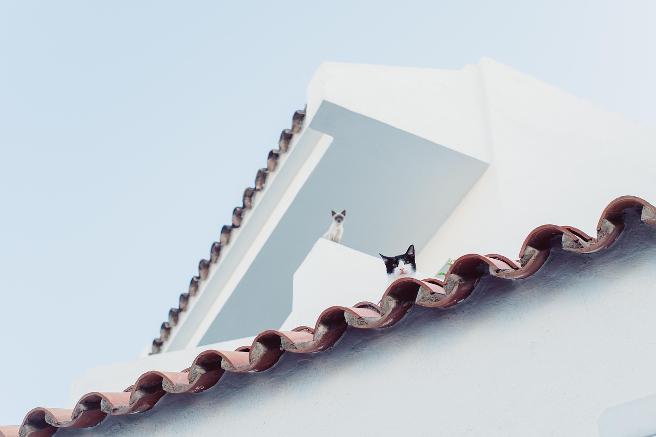 When KPI Overload Hurts Your Lean Team